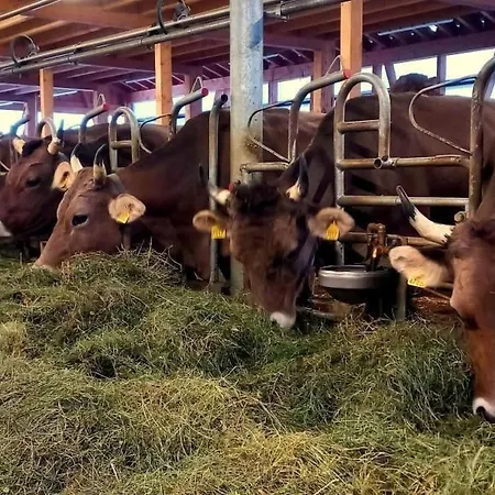 Apartment By Interhome Unterwasser