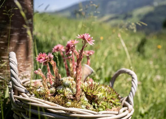 By Interhome * Unterwasser