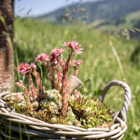 By Interhome * Unterwasser